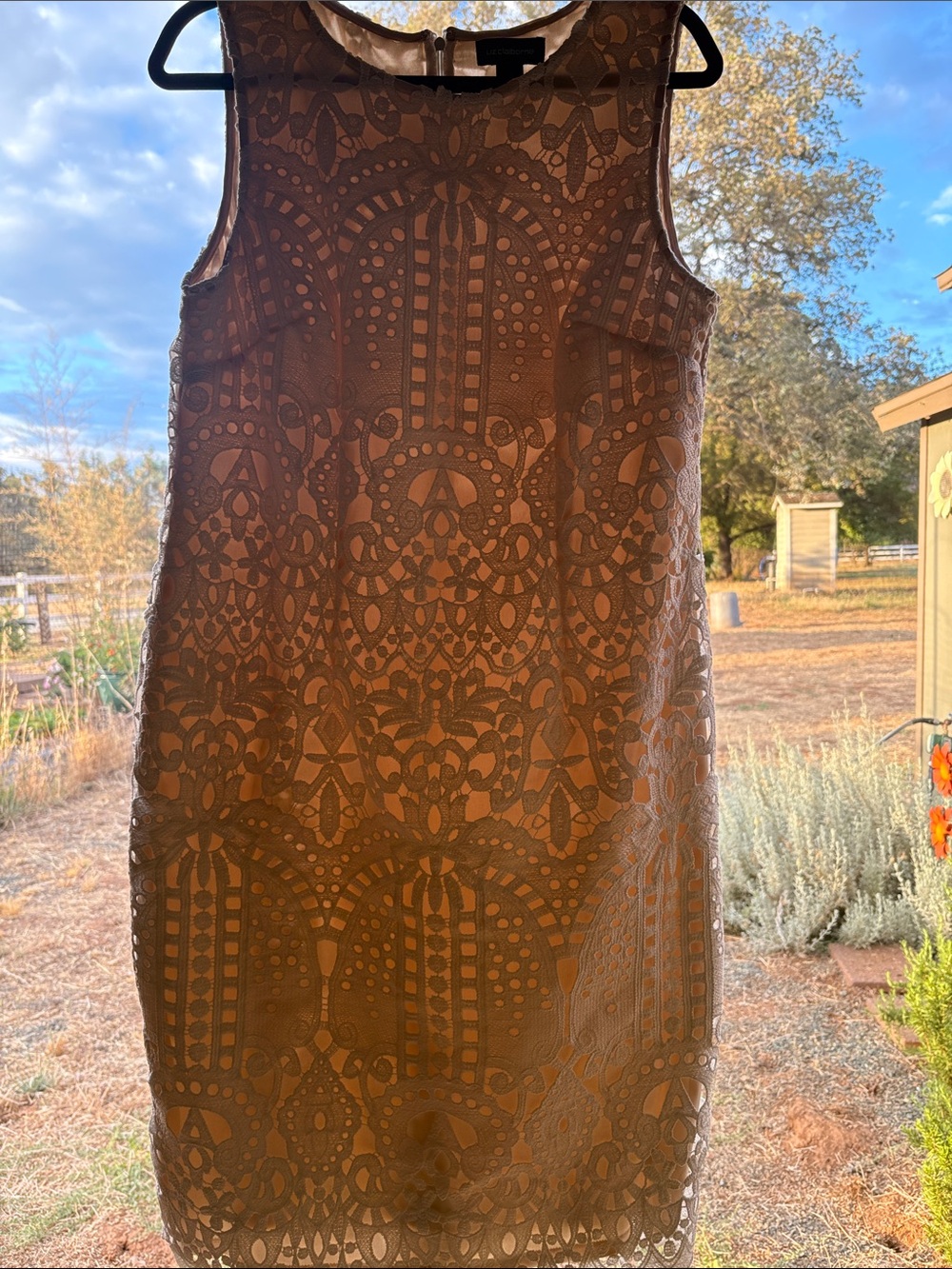 Liz Claiborne Dress with White Lace Overlay